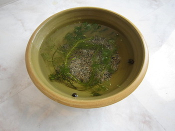 睡蓮鉢のサムネイル画像のサムネイル画像